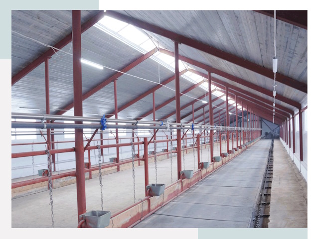 Строительство коровников в Балашихе от 615 руб.