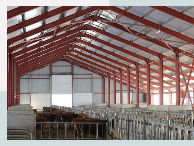 Строительство коровников в Балашихе