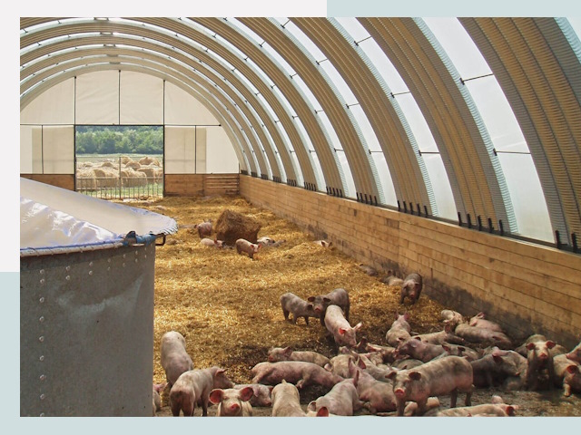 Строительство свинарников в Балашихе