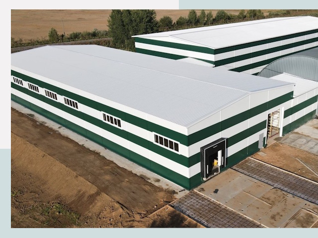 Строительство овощехранилищ в Балашихе