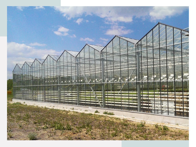 Строительство теплиц в Балашиха от 615 руб. за м²