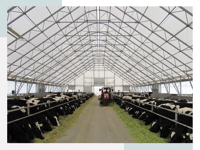 Тентовые коровники в Балашихе от 615 руб. - Надежно и доступно